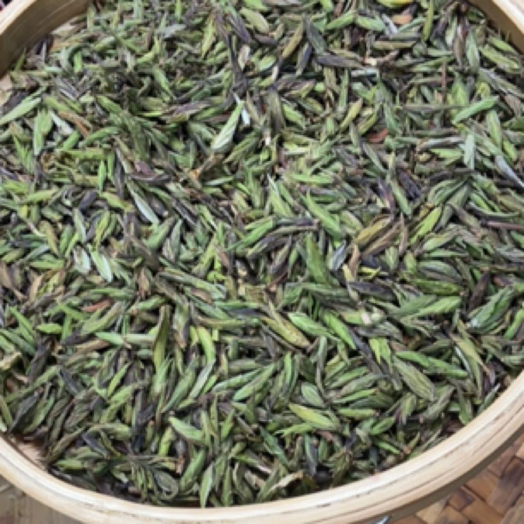 *2025年【仙人山·荒野芽苞·白茶散】白茶散茶-5月8日【18】