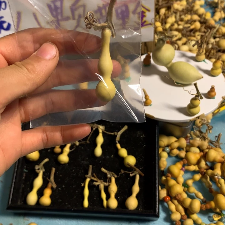俄***彼秒怕秒退拉黑！打孔不退不换！