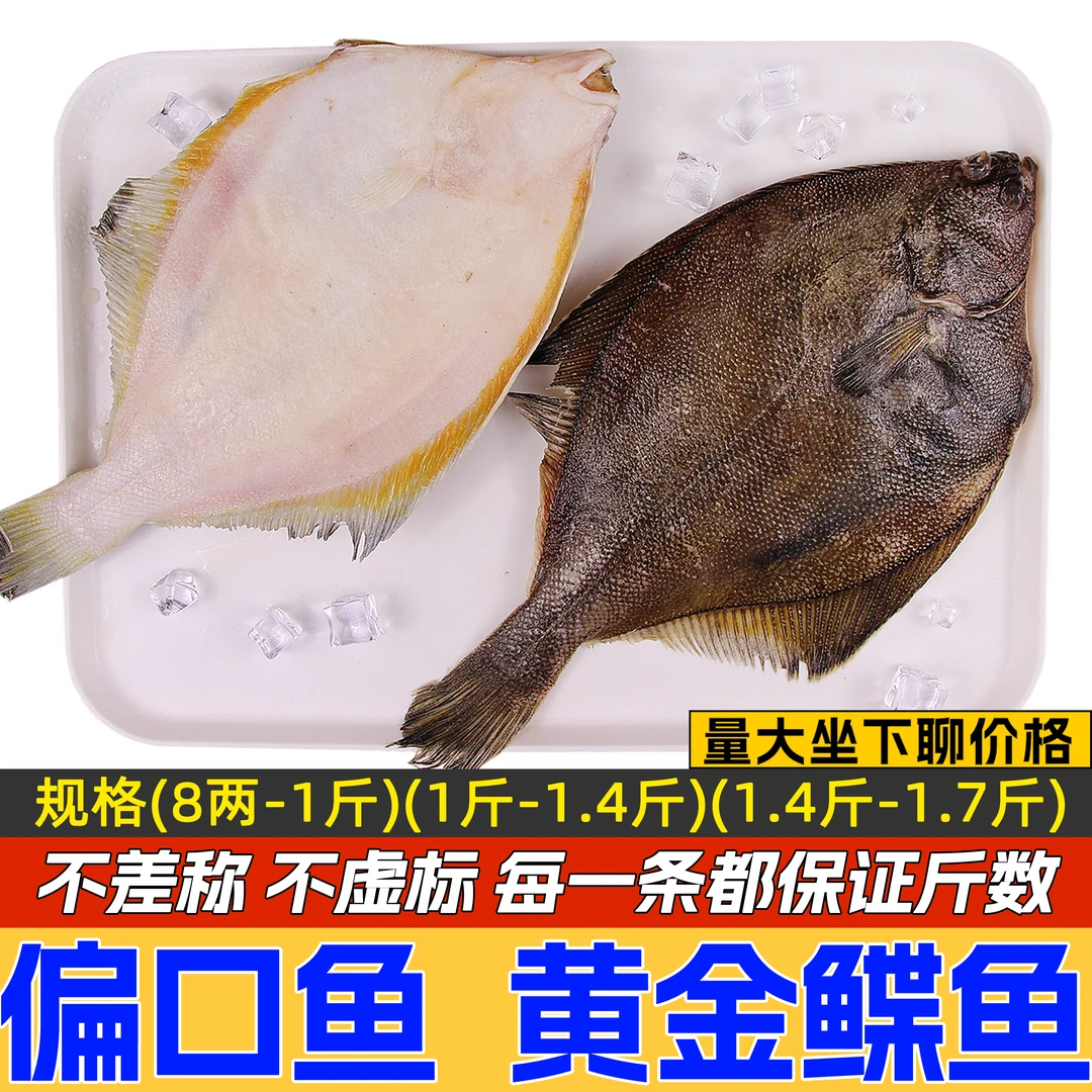 整条偏口鱼黄金鲽鱼比目鱼特大号新鲜速冻无冰超高质量8两-1.7斤