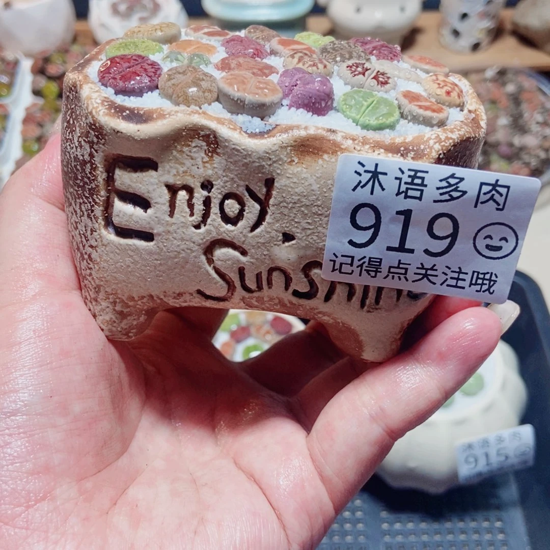 一物一拍 所见即所得 919