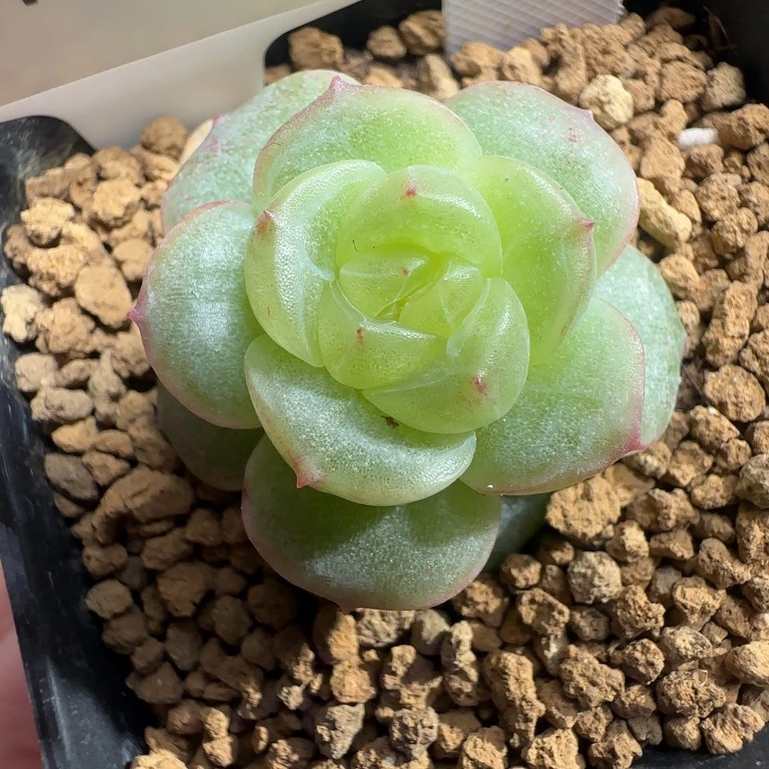 616号哈哈哈哈哈哈