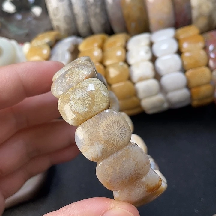 未镶嵌手链硅化珊瑚（珊瑚玉）