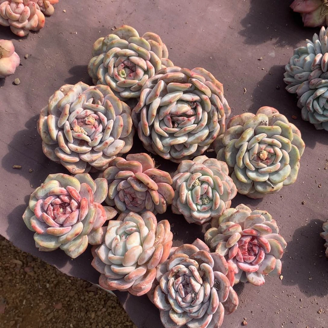 哈哈哈哈哈哈哈哈哈哈