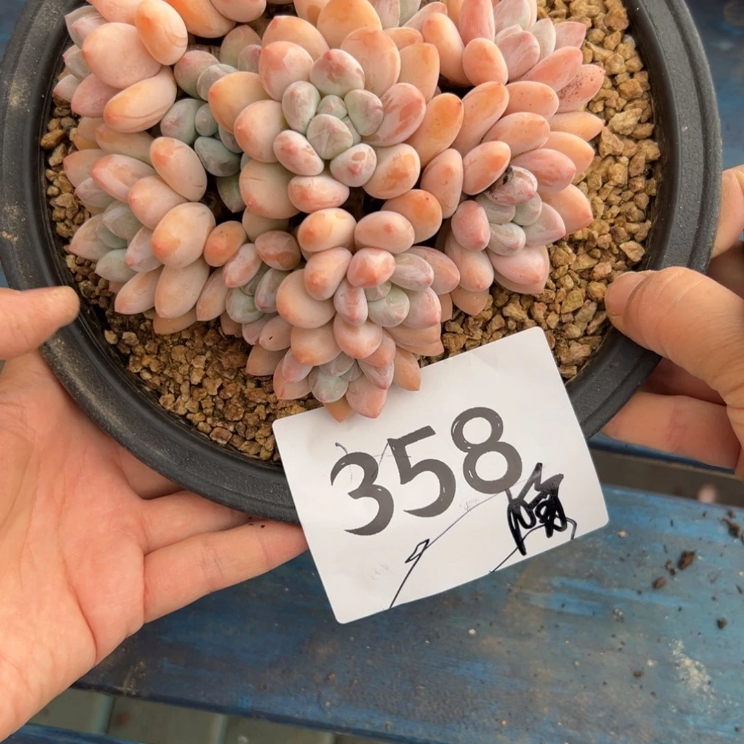 晴***呀358、表现吧彼此彼此吧女保暖