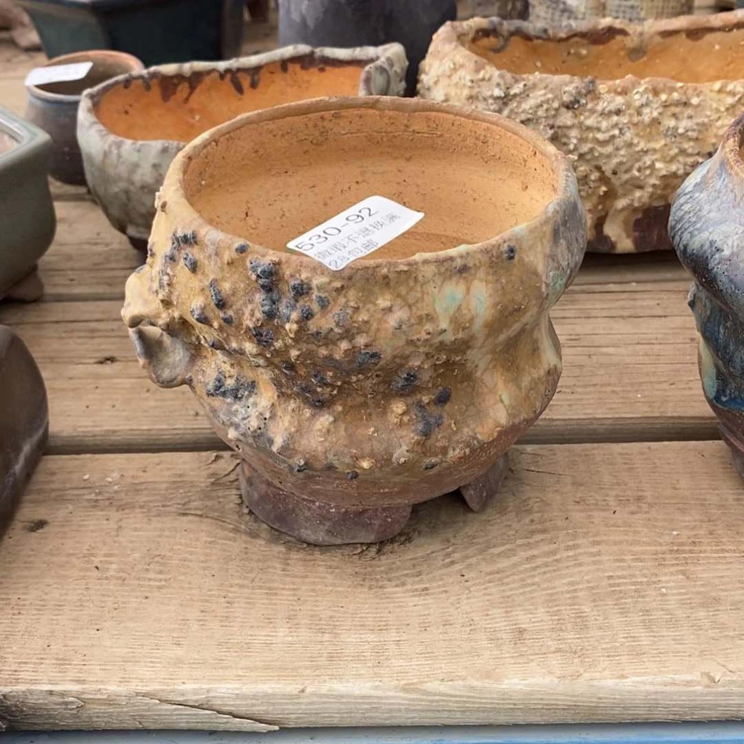 大**曲92号多肉盆口径10