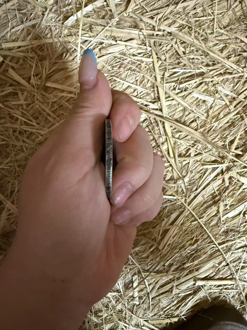 居家摆件 yy 绿币 居家摆件