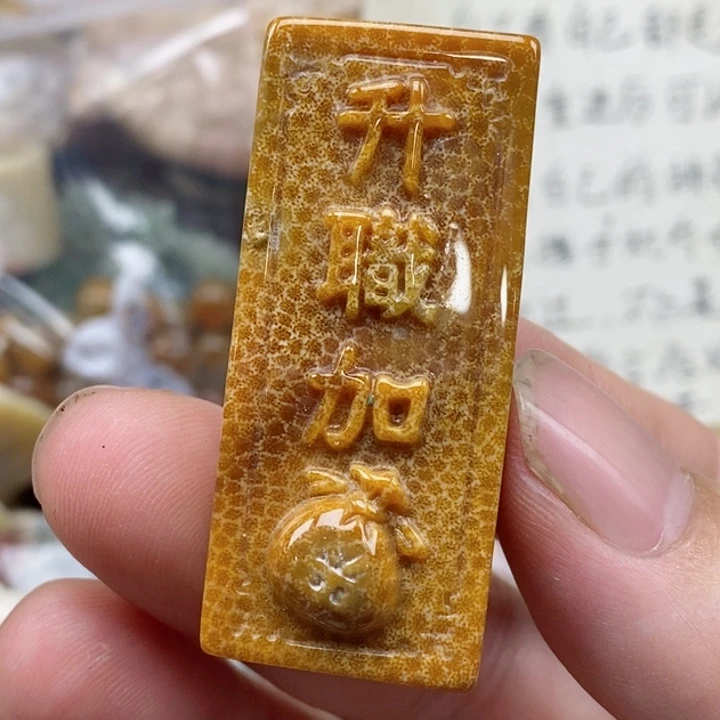 硅化珊瑚（珊瑚玉）未镶嵌颈饰
