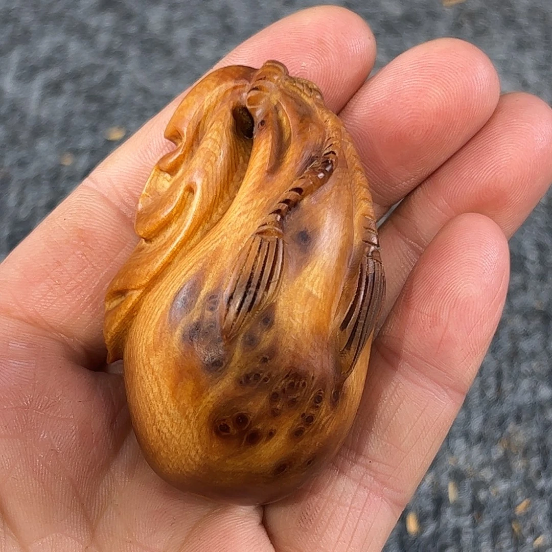 崖柏太行崖柏黑金刚瘤花