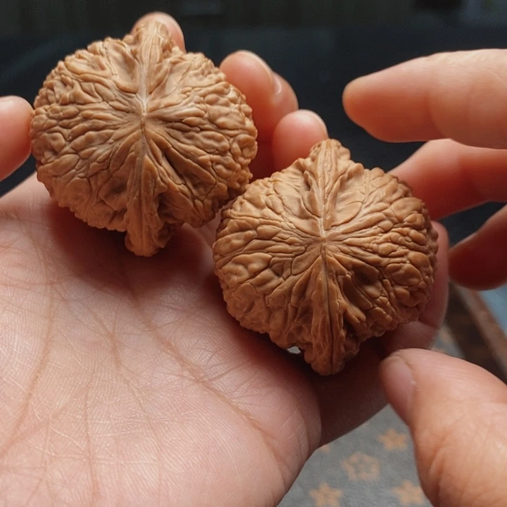 把件文玩核桃泥鳅41尺