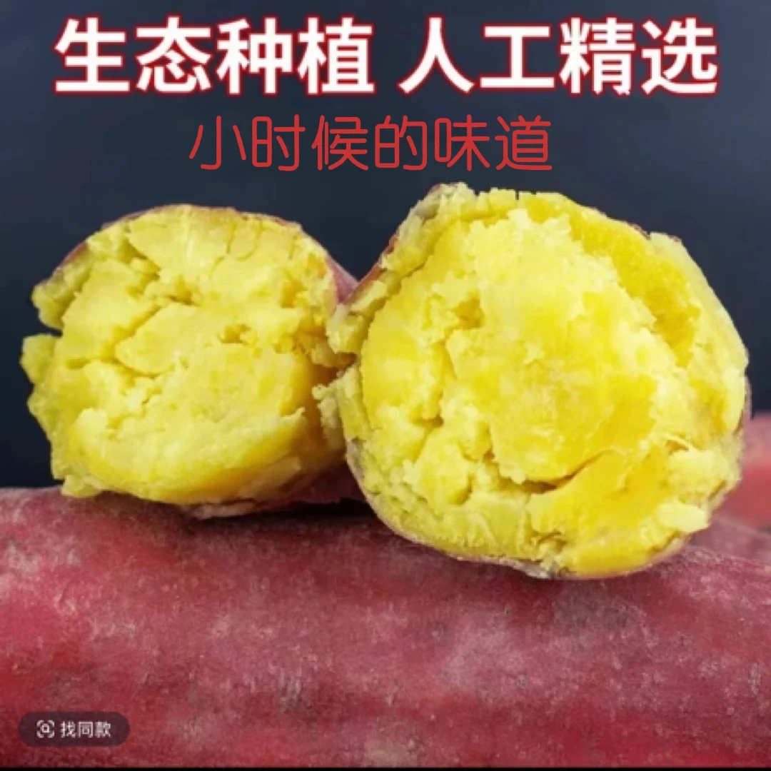 【买3斤送2斤到手5斤】新鲜现挖红薯软糯香甜的板傈红薯a3