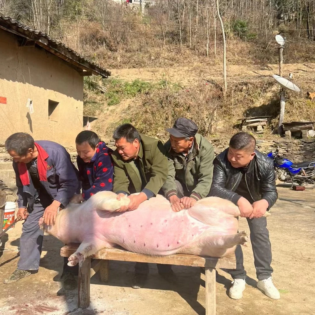 农家纯粮土猪鲜肉（顺丰包邮）