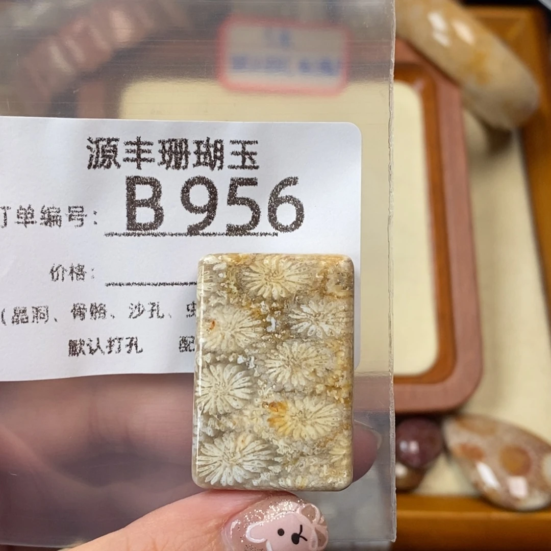 用***2未镶嵌颈饰硅化玉