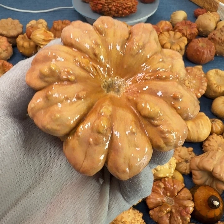 ****晶墨西哥七彩疙瘩葫芦