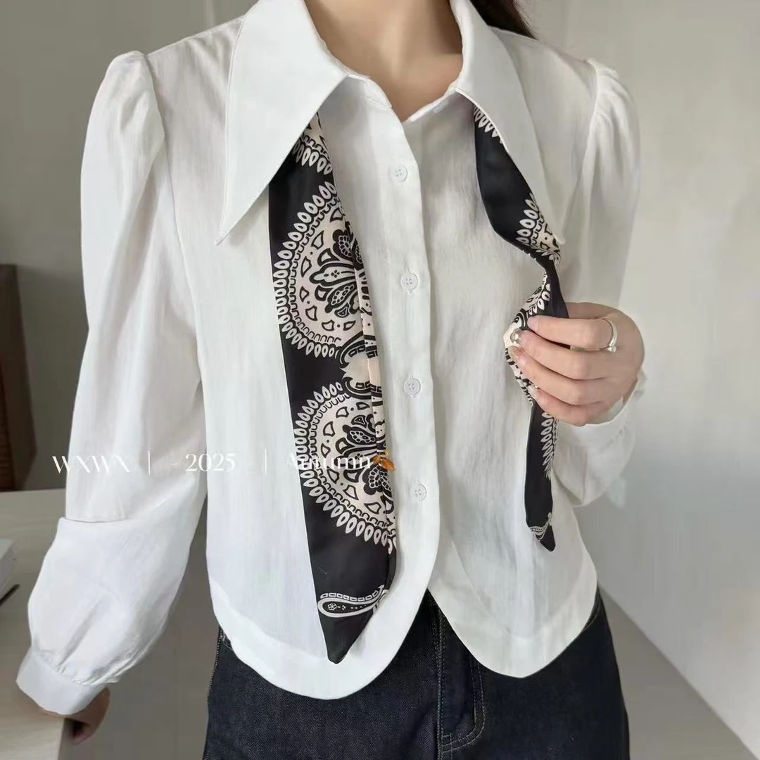 917/5771/170  韩系翻领丝巾长袖衬衫显瘦减龄休闲上衣潮
