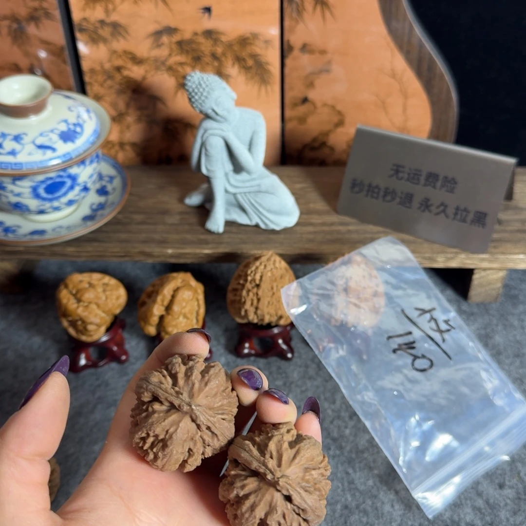 *****全品40霸王龙白茬