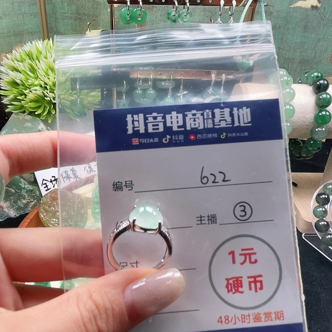 石英质玉未镶嵌颈饰