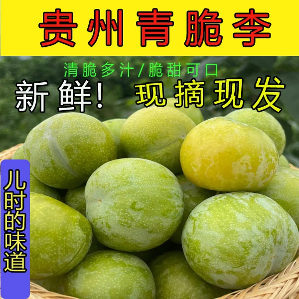 贵州青脆李新鲜当季水果脆甜多汁自然成熟孕妇水果原生态李子