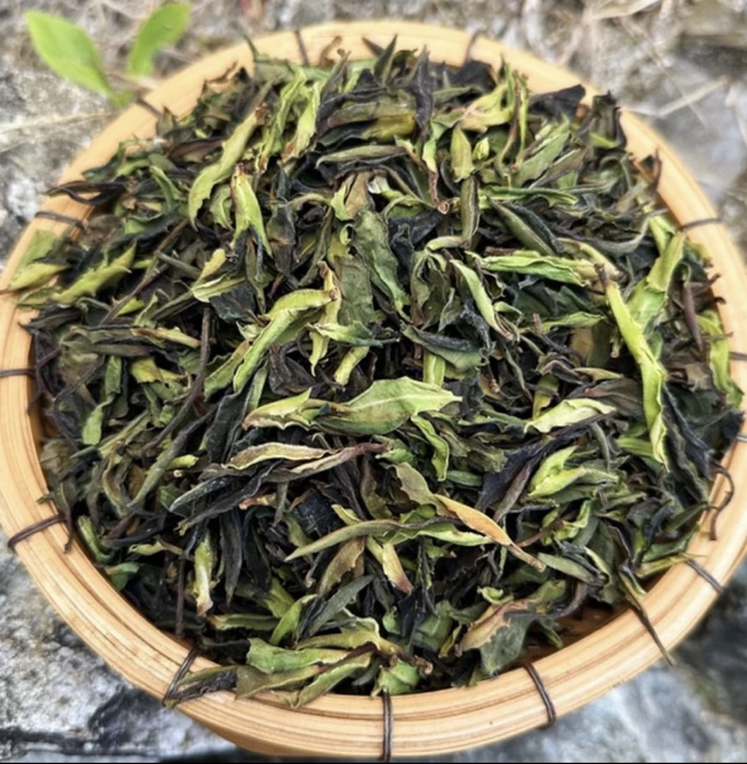 2025年云南千年野生古树白茶芽孢250g