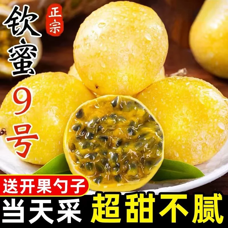 【20枚装】正宗黄金百香果钦蜜9号香甜多汁 配开果器坏果包赔