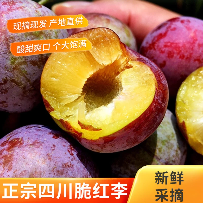 四川高山现摘脱骨脆红李新鲜应季水果脆甜多汁新鲜上市