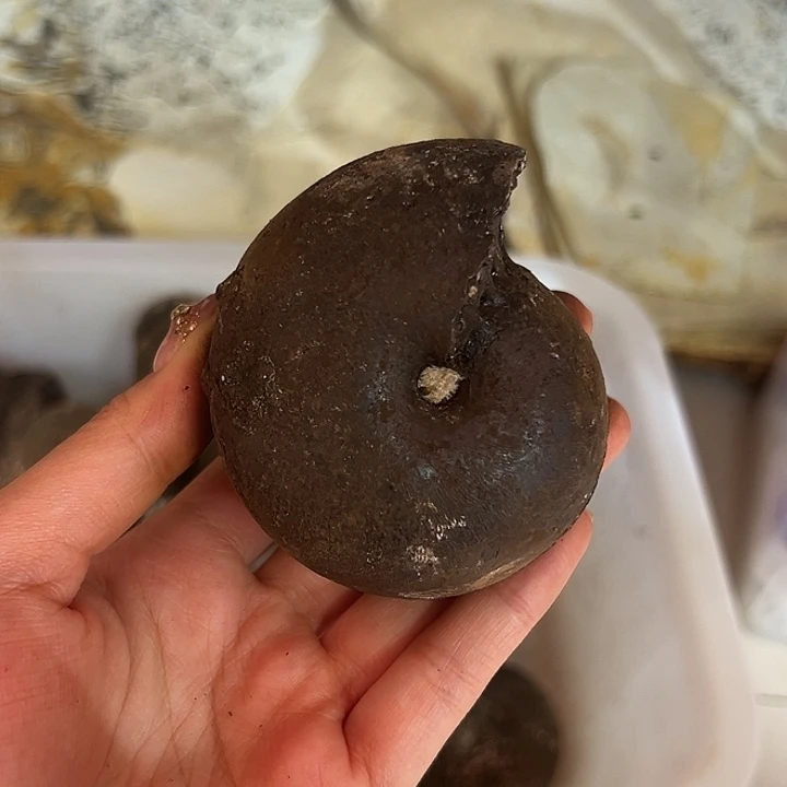 粥***碗精品系列产品摆件13579