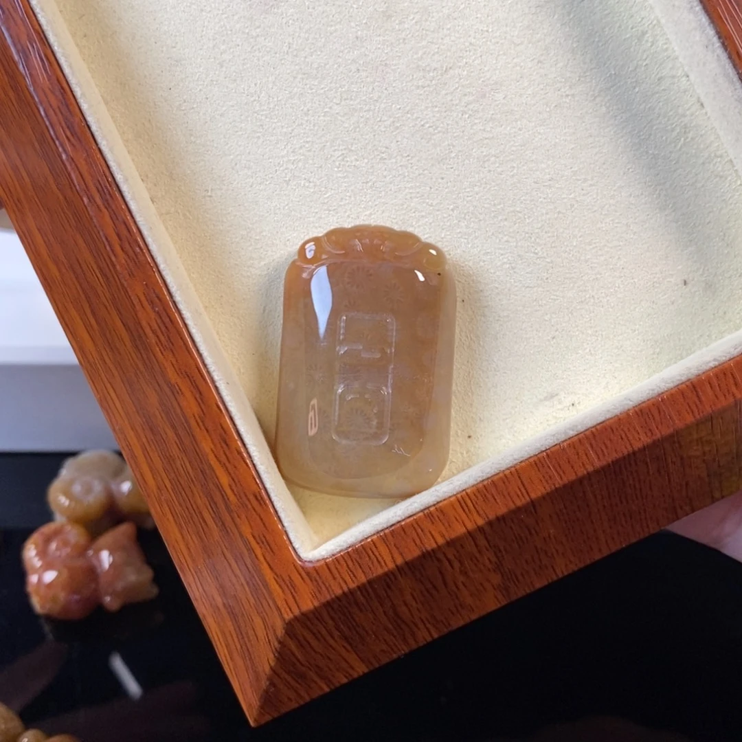 硅化珊瑚（珊瑚玉）未镶嵌颈饰30