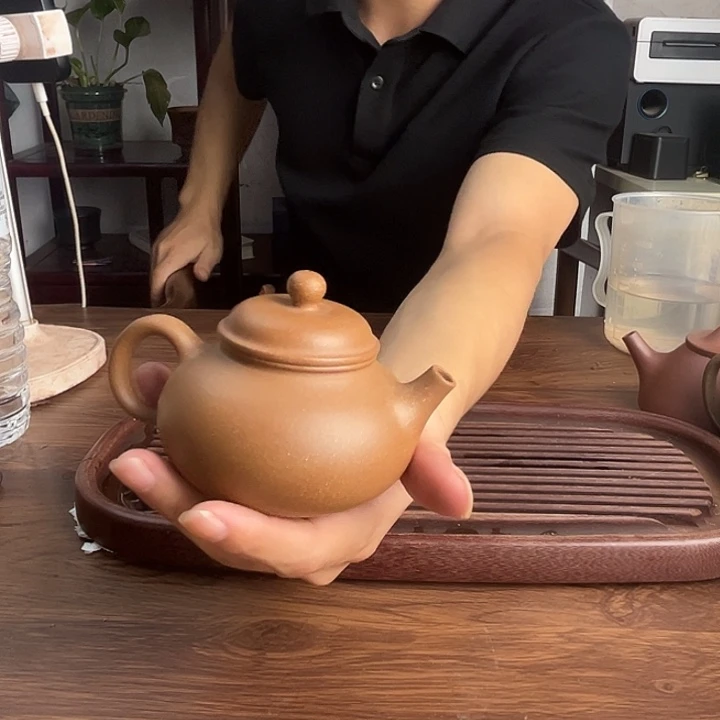 坦***荡茶壶紫砂原矿老段容天光素