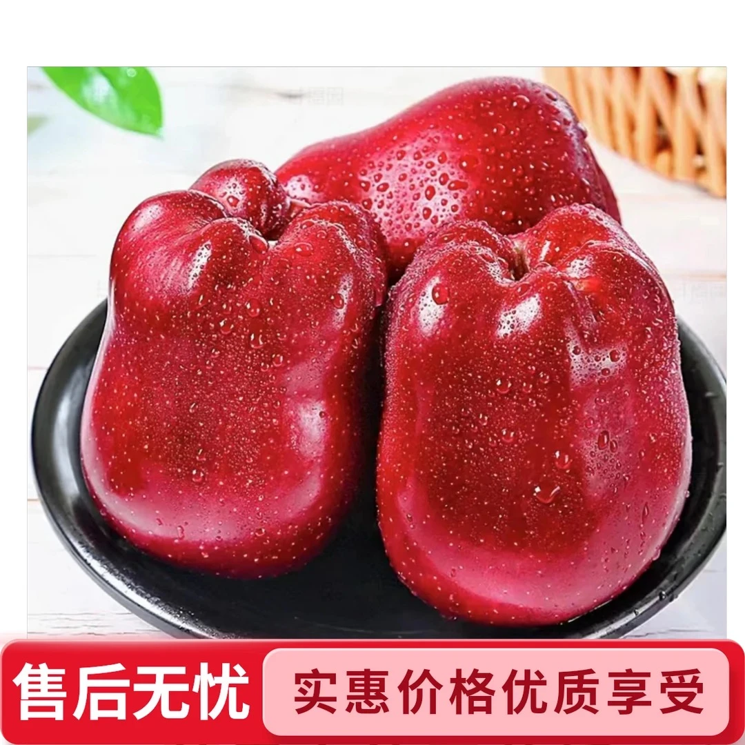 （顺丰包邮）甘肃天水红蛇果苹果4.5-9斤新鲜采摘脆甜现摘现发