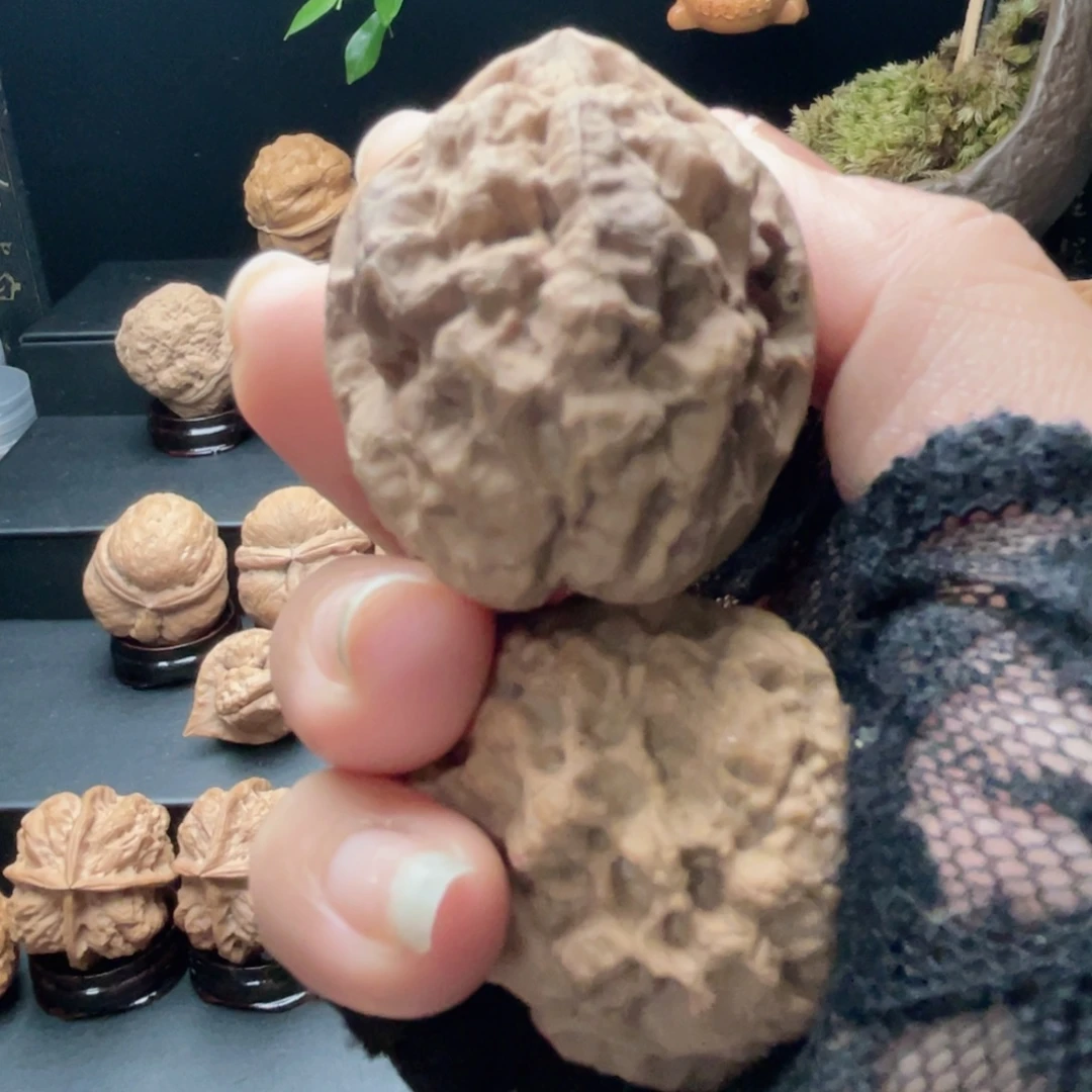 把件文玩核桃毒王……