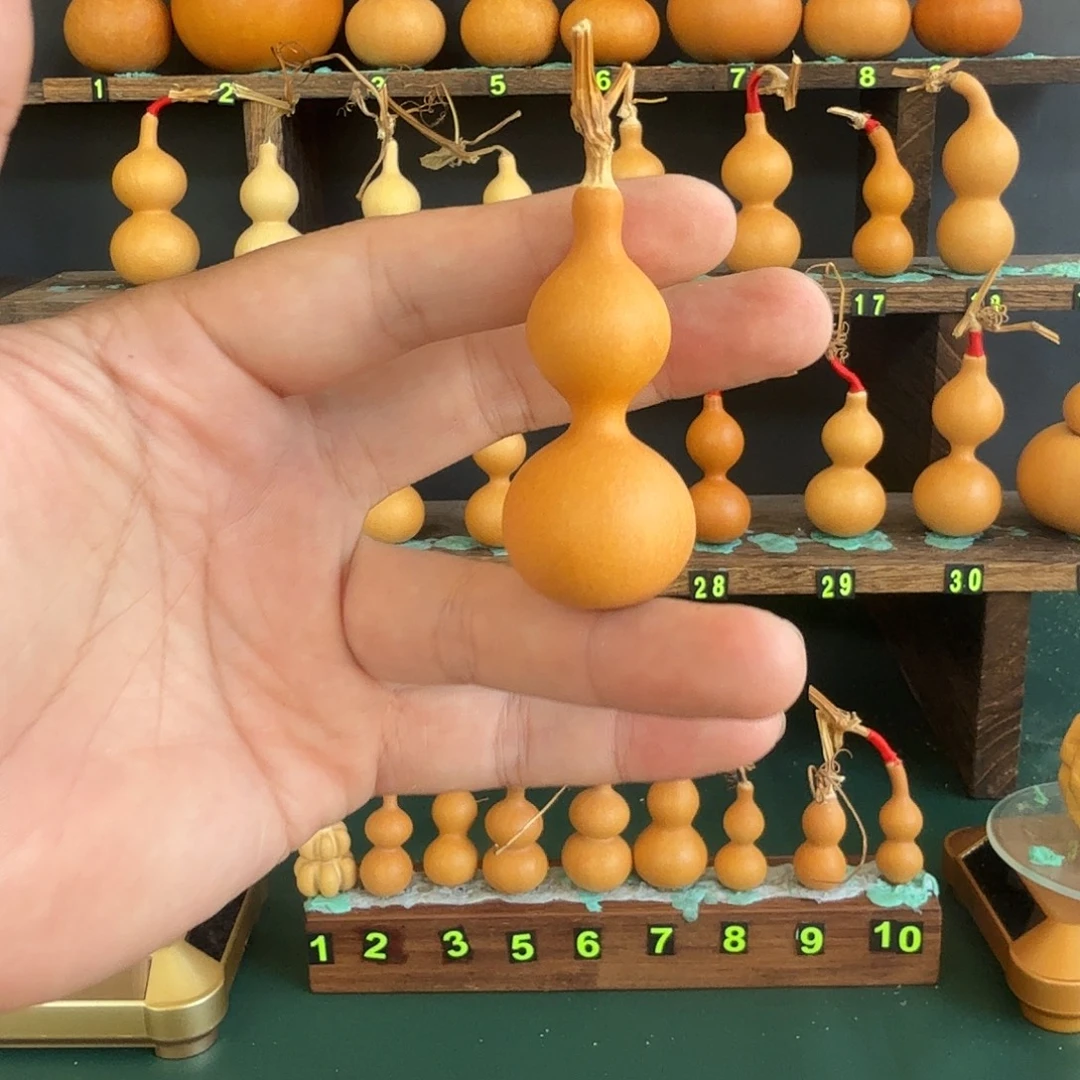 一****葫芦葫芦葫芦葫芦葫芦葫芦