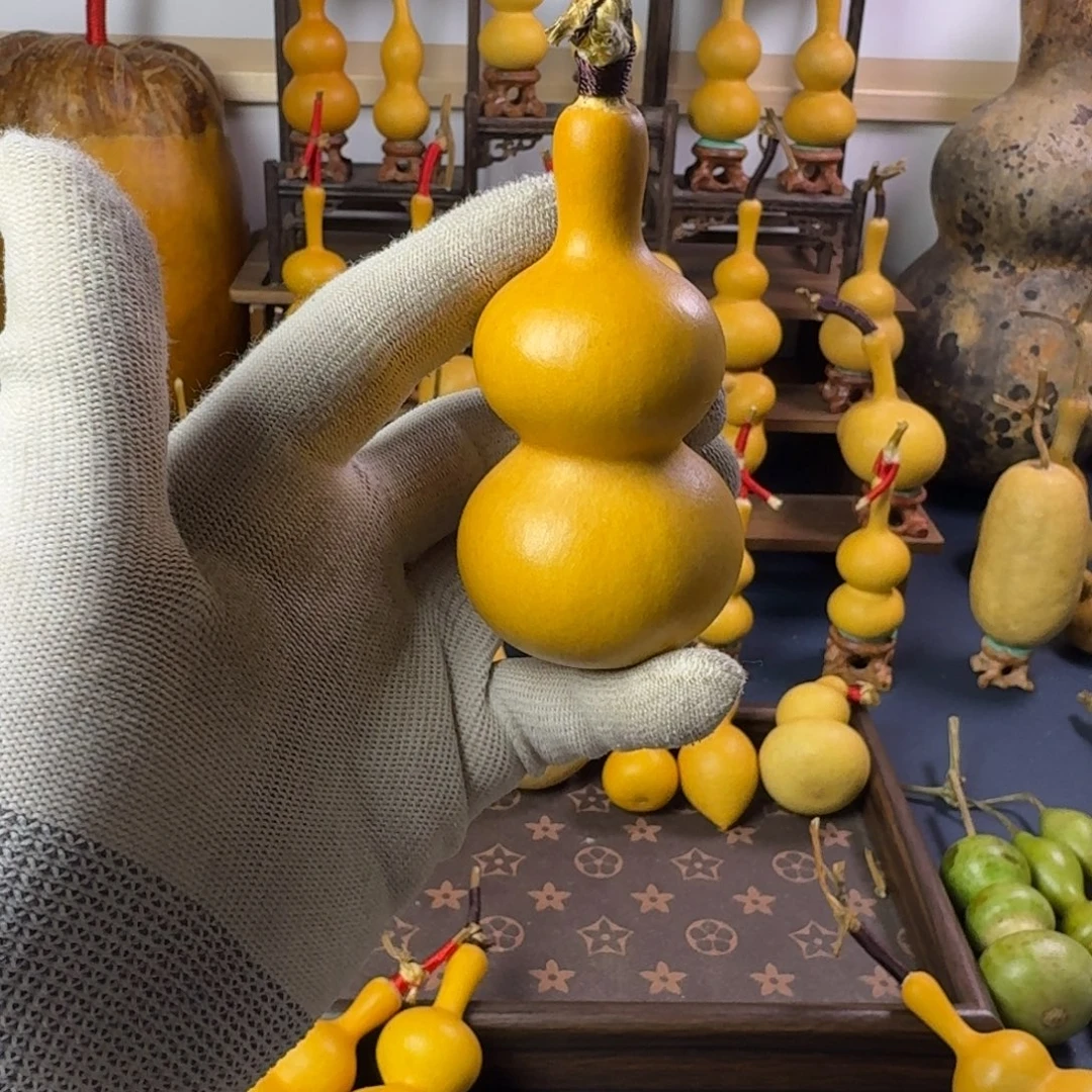 我***月直播间专项链接 请勿乱拍