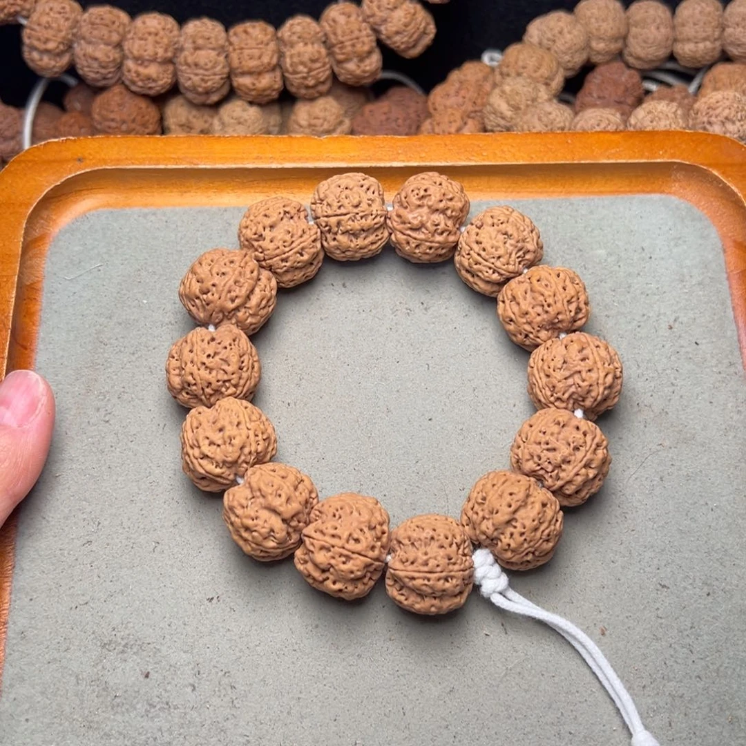 菩提17号金刚菩提满肉梅花22