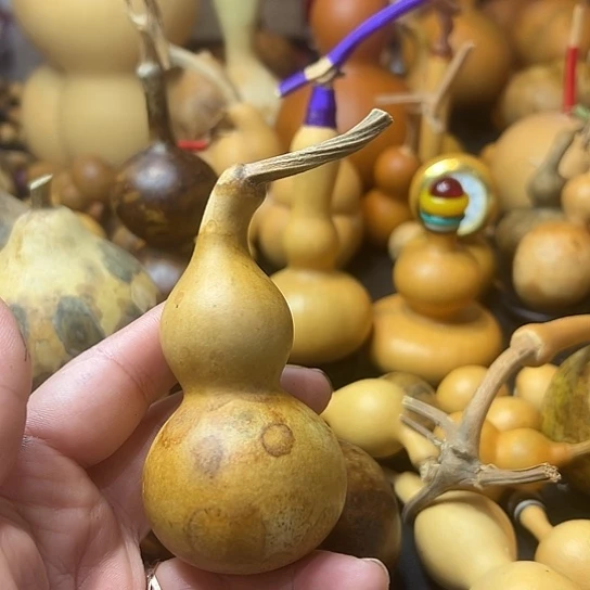 立*葫芦葫芦葫芦葫芦