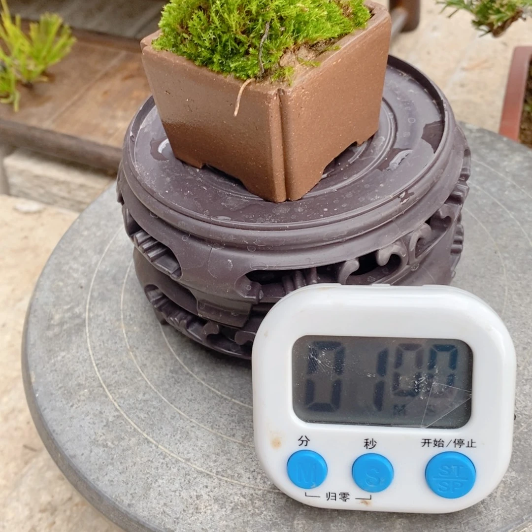 手工艺品琉璃y****a松树等经济作物的