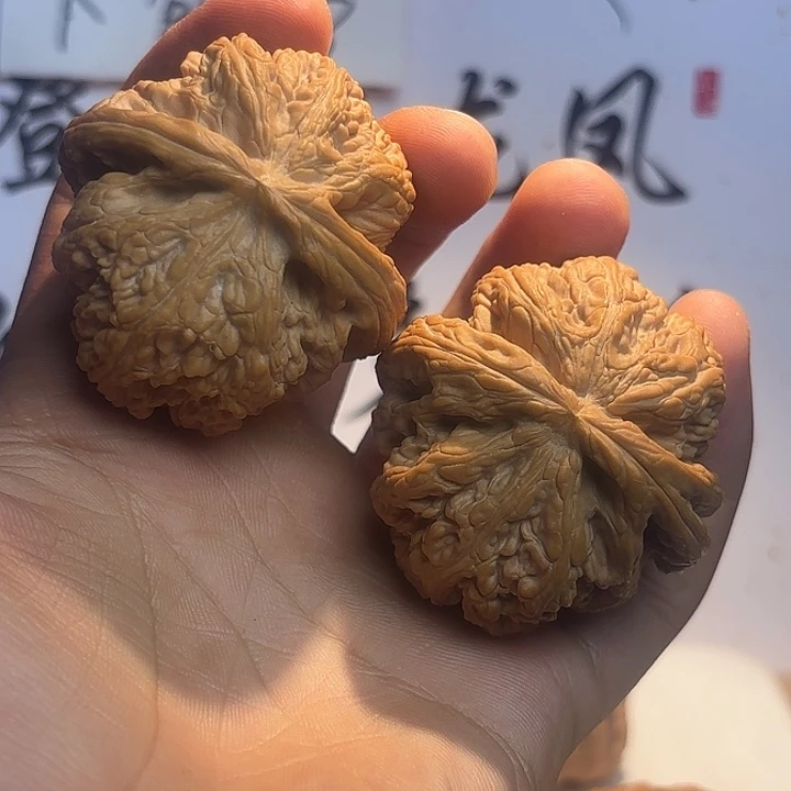 核桃大粗筋，有修45尺