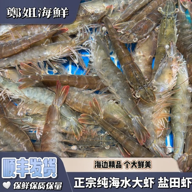 正宗海水大虾 盐田虾【保鲜不保活】顺丰冷链