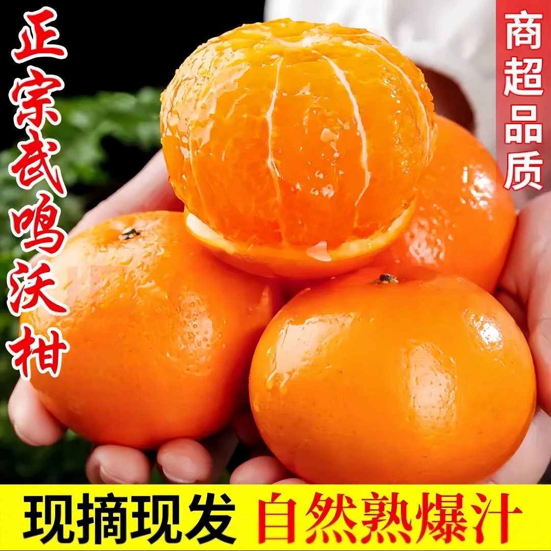 【万年专属】正宗广西武鸣沃柑整箱装新鲜橘子鲜嫩柑橘香甜多汁