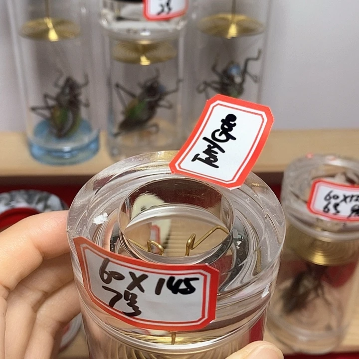 蝈蝈60-145单蝈蝈T