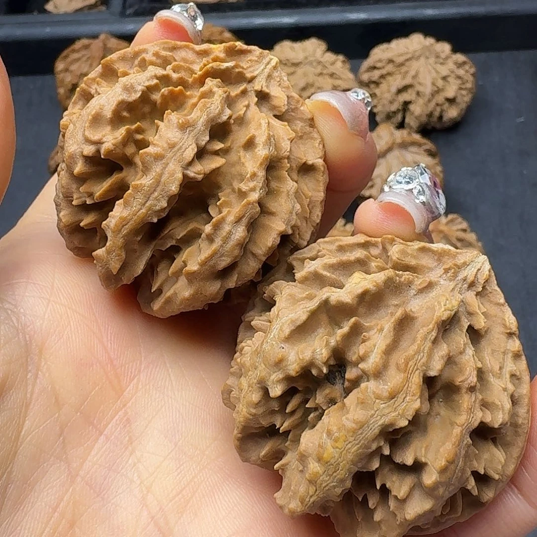 桃木突突突突突突突突