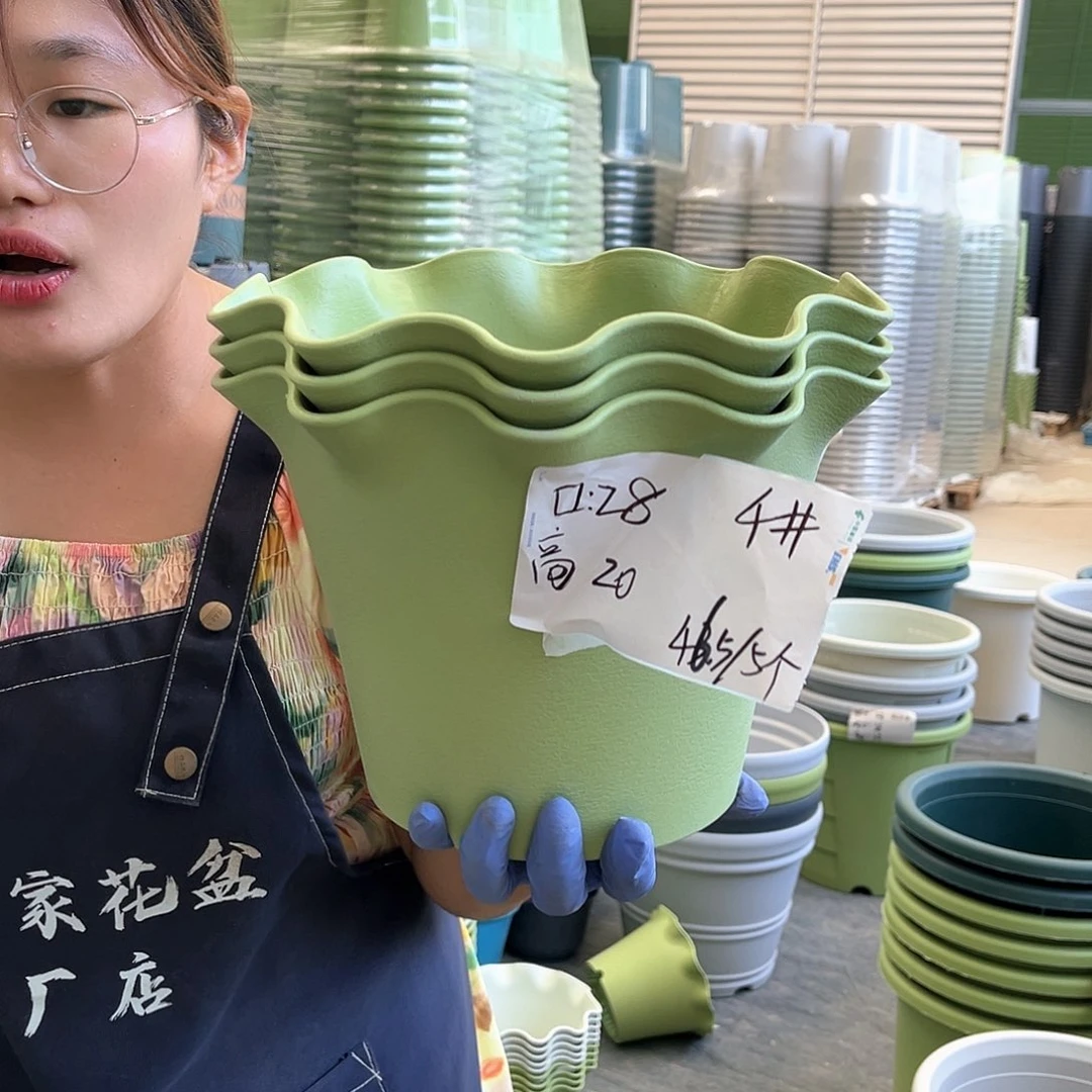 荷叶盆4#果绿色5个含托