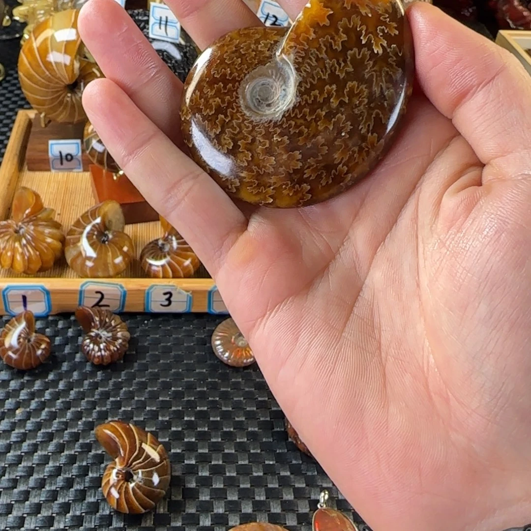 玛瑙/玉髓合金挂件天然大海，古生物化石古生物化