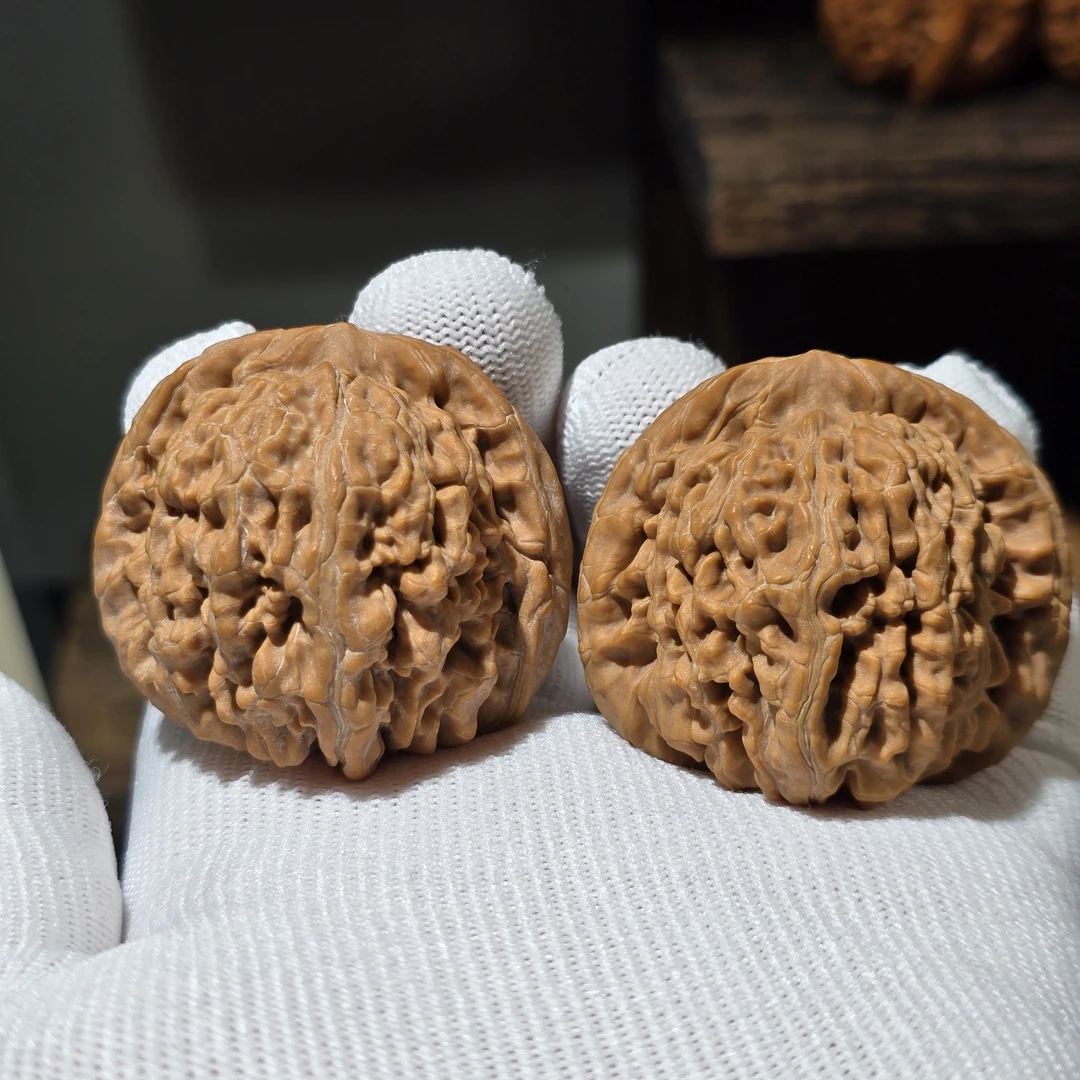 平谷张云飞四座楼毕业收藏级44mm全品无修山地老树果D060204