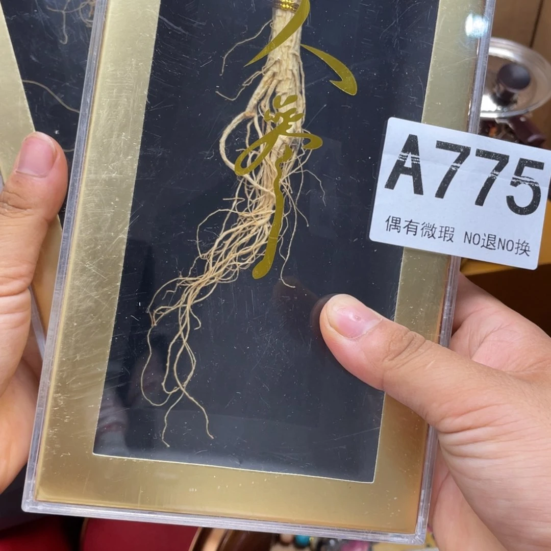 戊***年000000000编号775