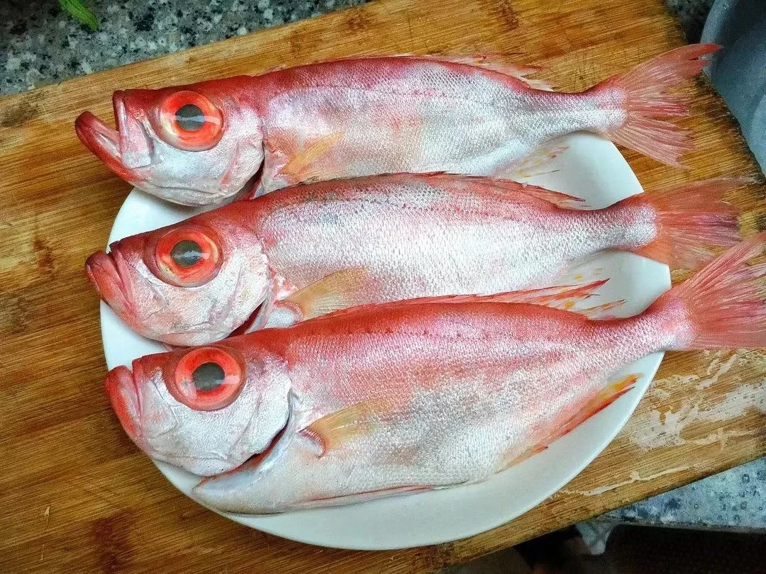 广东南海海域海钓大眼鱼大眼鸡红目鲷4斤送1斤