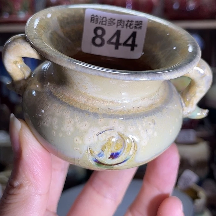 狼盆内口径5高度6