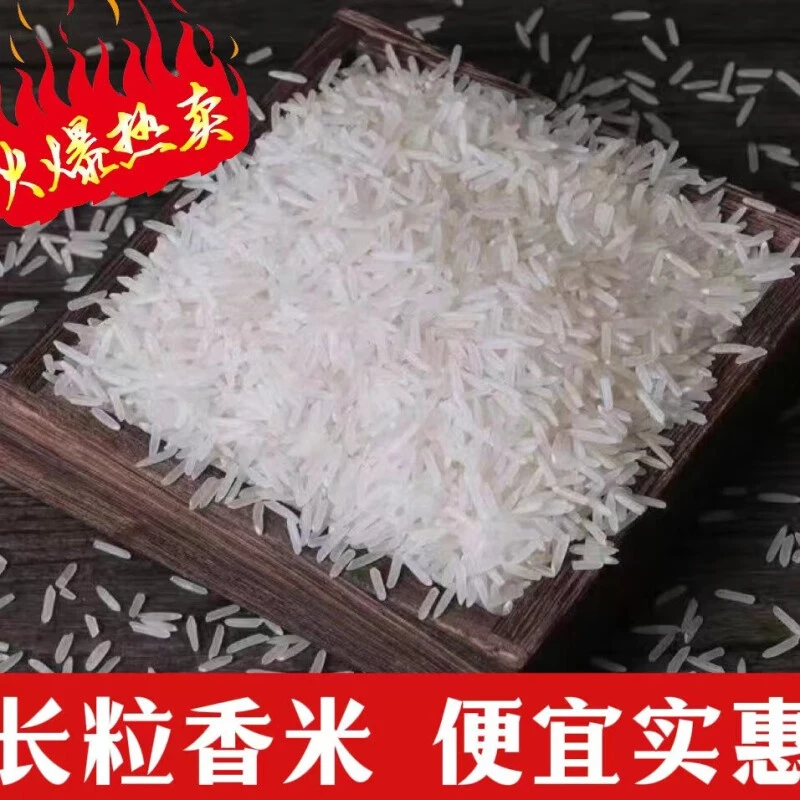 【6-9mm】南方籼米猫牙米10斤 丝苗米大酒店专用稻香大米5kg DD