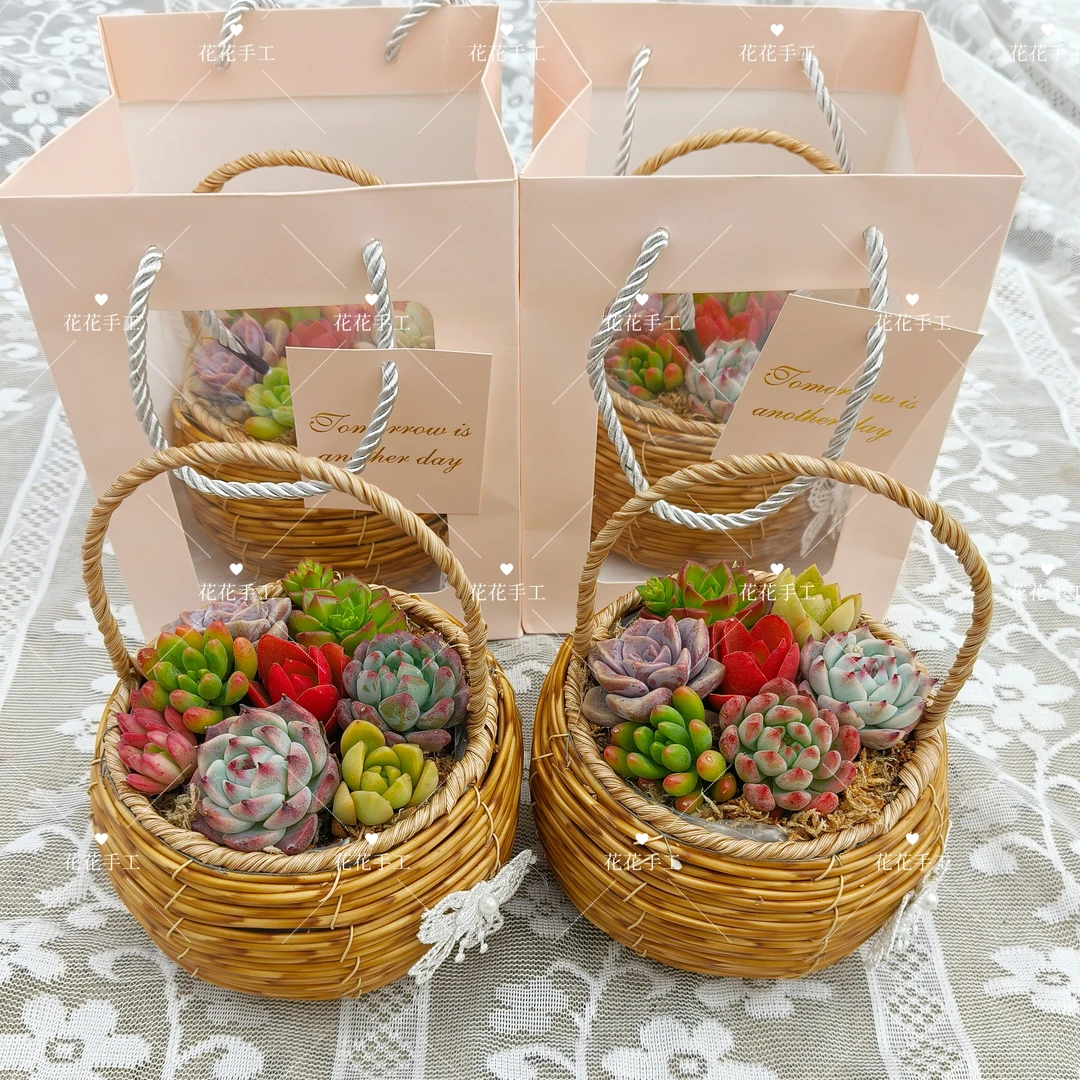 多肉植物手提花篮绿植组合盆栽阳台观赏带篮种好发货
