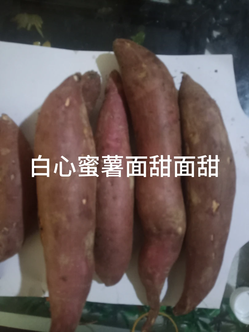 河北白心蜜薯面甜面甜