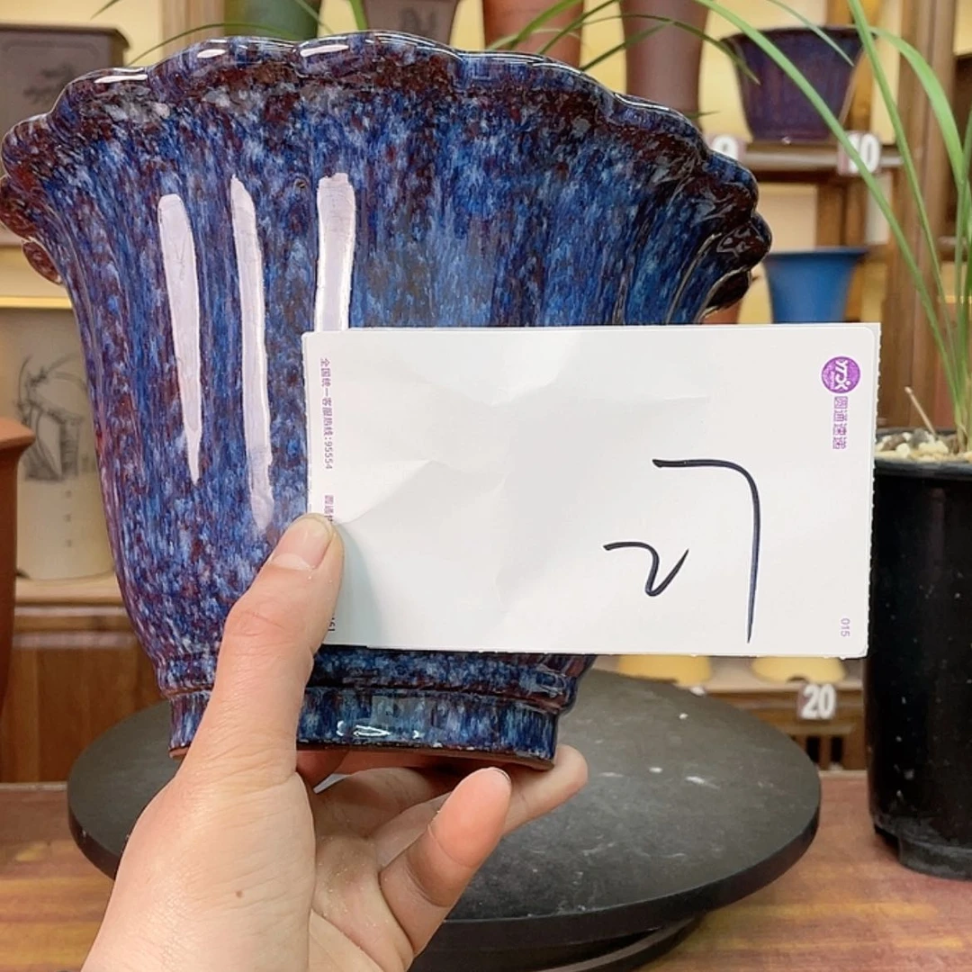 【闪购商品】紫砂花盆诺****窗兰花755552578555887558