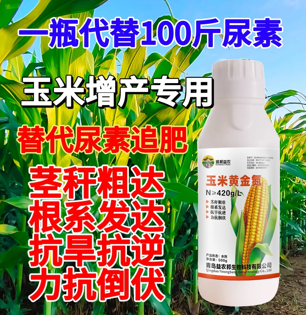 【一瓶代替100斤尿素】黄金氮有机肥高浓速效补氮玉米膨大增产